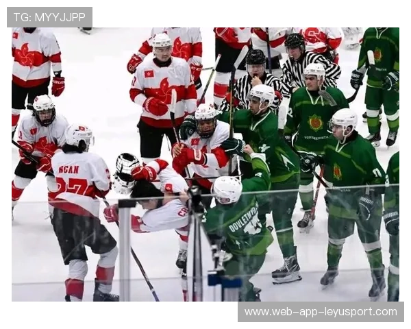 冰球比赛爆发群殴，裁判被推倒